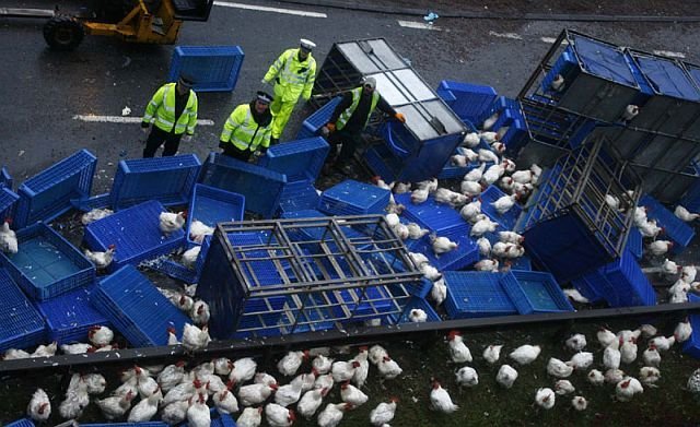 Discover the Thrills of the Chicken Road Casino in the UK